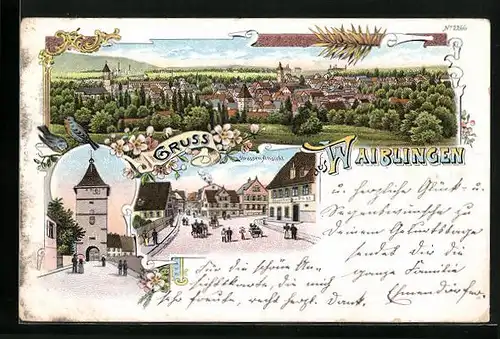 Lithographie Waiblingen, Strassenansicht mit Gasthof zur Post, Totalansicht