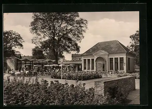 AK Dessau, Gaststätte Teehäuschen mit Terrasse