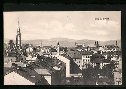AK Linz a. D., Totalansicht mit Kirchen