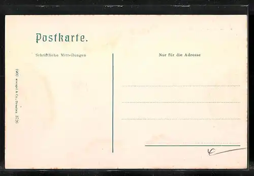 AK Linz a. D., Promenade aus der Vogelschau