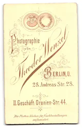 Fotografie Theodor Wenzel, Berlin, Andreas-Strasse 28, Jüngling mit Haartolle und ernster Miene