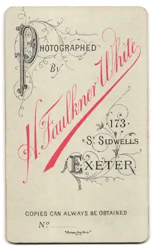 Fotografie H. Faulkner White, Exeter, 173, St. Sidwells, Junge Dame in hübscher Kleidung