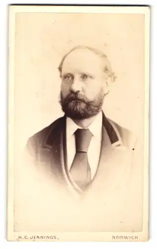 Fotografie H. C. Jennings, Norwich, Queen Street, Gutbürgerlicher Herr mit Vollbart und hochwertiger Krawatte