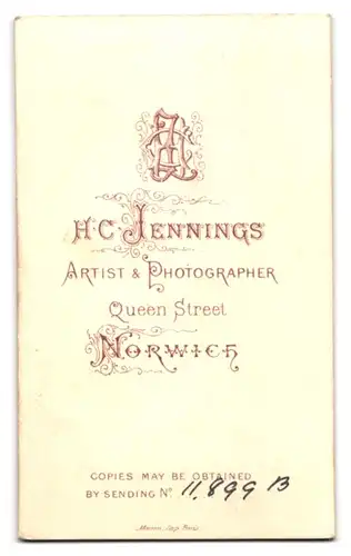 Fotografie H. C. Jennings, Norwich, Queen Street, Gutbürgerlicher Herr mit Vollbart und hochwertiger Krawatte