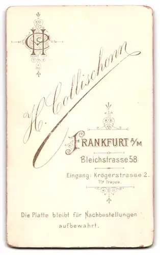 Fotografie H. Collischonn, Frankfurt /Main, Bleichstrasse 58, Junges Mädchen im verzierten Rüschenkleid mit Puffärmeln