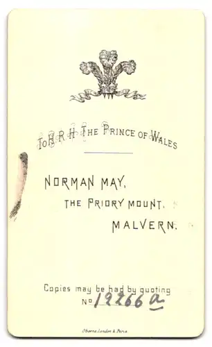 Fotografie Norman May, Malvern, The Pridry Mount, Dame im schwarzen Kleid mit weissem Rüschenkragen