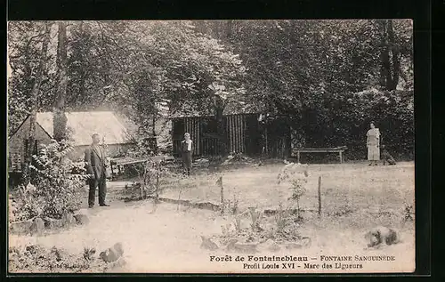 AK Foret de Fontainebleau, Fontaine Sanguinede