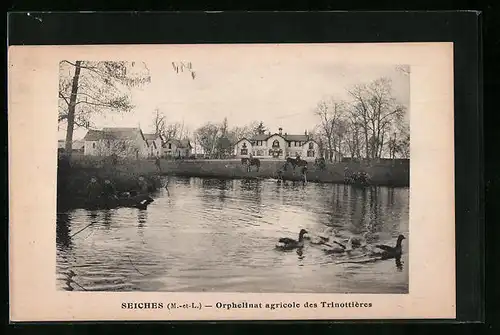 AK Seiches, Orphelinat agricole des Trinottières