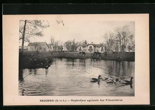 AK Seiches, Orphelinat agricole des Trinottières