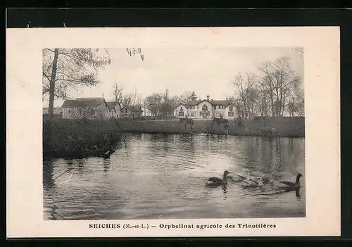 AK Seiches, Orphelinat agricole des Trinottières