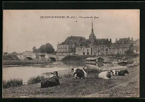 AK Le Lion-D`Angers, Vue prise du Quai