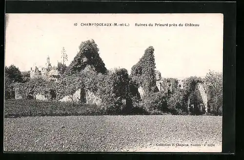 AK Champtoceaux, Ruines du Prieuré près du Château