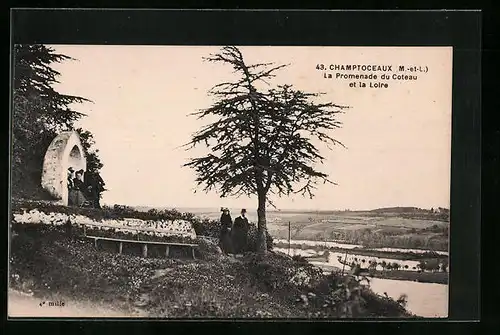 AK Champtoceaux, La Promenade du Coteau et la Loire
