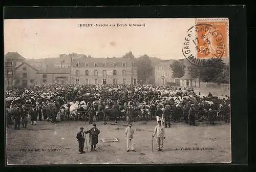 AK Cholet, Marché aux Boeufs le Samedi