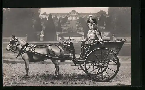 AK Prinz Wilhelm von Preussen in Ponywagen im Park von Sanssouci