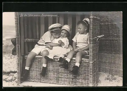 AK Die drei Söhne des Kronprinzenpaares Wilhelm von Preussen im Strandkorb