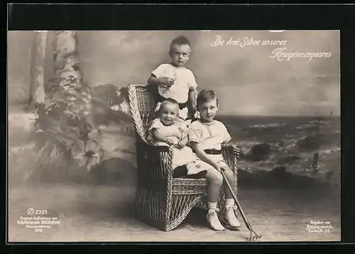 AK Die drei Söhne des Kronprinzenpaares Wilhelm von Preussen