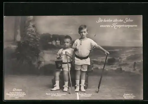 AK Die beiden ältesten Söhne des Kronprinzenpaares, Prinz Louis Ferdinand von Preussen u. Prinz Wilhelm von Preussen