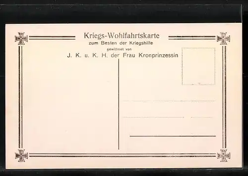 AK Die Söhne des Kronprinzenpaares in Feldgrau