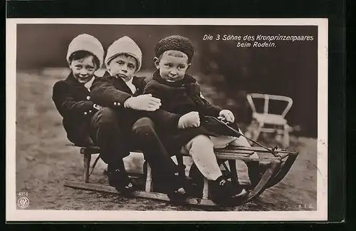 AK Die Söhne des Kronprinzenpaares beim Rodeln