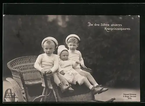 AK Die drei Söhne des Kronprinzenpaares auf einer Kinderkutsche