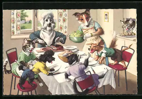 AK Katzen voller Aufregung neben zanksüchtigen Hunden bei Tisch
