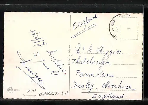 AK Katzenkinder in der Backstube machen Blödsinn