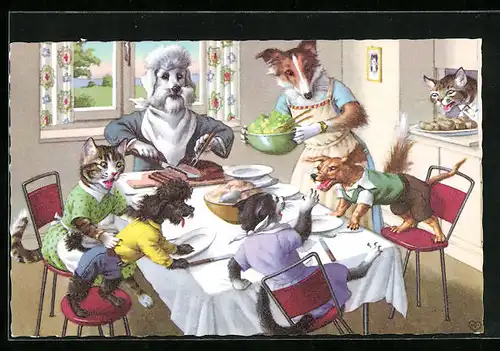AK Katzenkinder zu Besuch bei einer Hundefamilie, Zank am Küchentisch