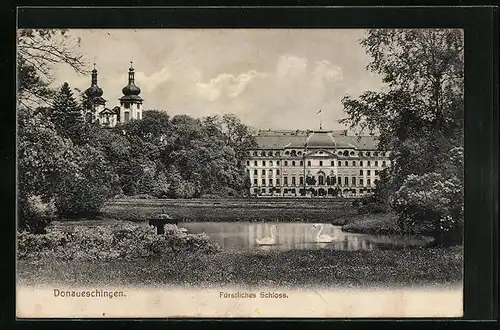 AK Donaueschingen, Schwanenteich am fürstlichen Schloss