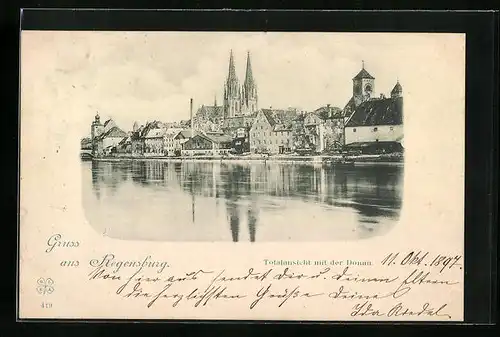 AK Regensburg, Totalansicht mit der Donau