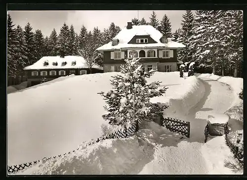 AK Schluchsee /Schwarzw., Haus Schluchsee, Jugendkurheim der Barmer Ersatzkasse im Schnee