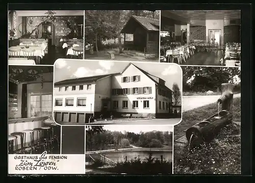 AK Robern /Odw., Gasthaus und Pension Zum Löwen, Seepartie, Trinkbrunnen
