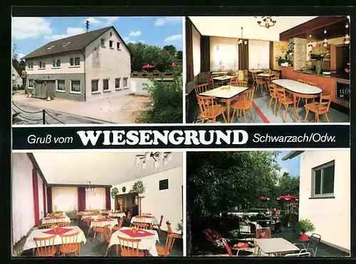 AK Schwarzach /Odw., Gasthaus-Pension Wiesengrund