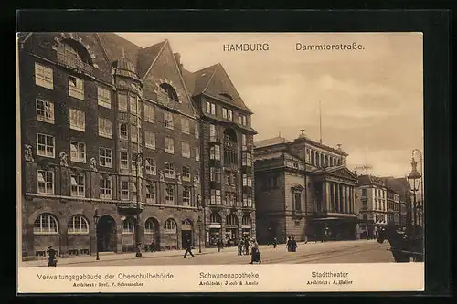 Lithographie Hamburg-Neustadt, Dammtorstrasse mit Schwanenapotheke