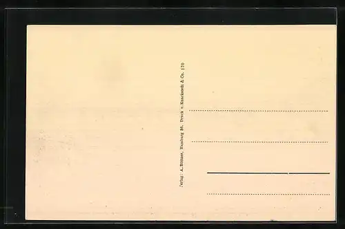 Lithographie Hamburg-Neustadt, Dammtorstrasse mit Schwanenapotheke