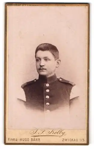 Fotografie Hugo Bähr, Zwickau, Kaiser Wilhelm Platz 31, Portrait Musiker in Uniform mit Schwalbennestern