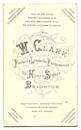 Fotografie W. Clark, Brighton, 59. North Street, Dame in Tournüre an Stuhl lehnend