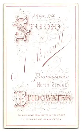 Fotografie A. Pennell, Bridgwater, North Street, Dame mit Brosche und Buch in der Hand