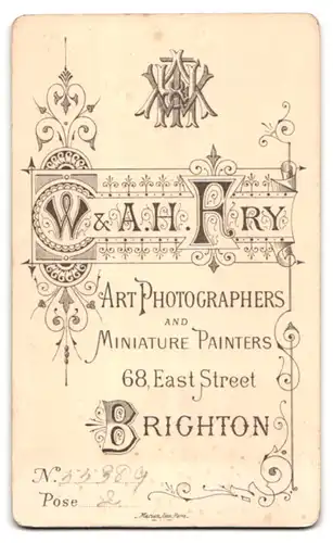 Fotografie W. & A. H. Fry, Brighton, 68. East Street, Dame in gestreiftem Kleid