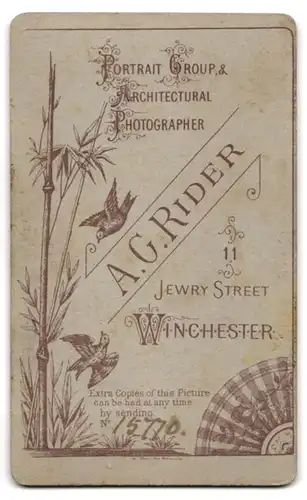 Fotografie A. G. Rider, Winchester, 11, Jewry Street, Bürgerliche Dame mit Hochsteckfrisur