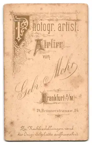 Fotografie Gebr. Mohr, Frankfurt a. M., Brönnerstr. 24, Bürgerlicher Herr mit Vollbart
