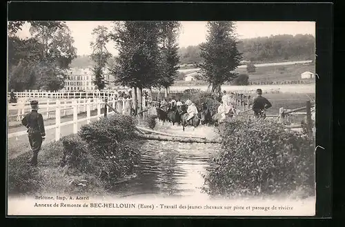 AK Bec-Hellouin, Travail des jeunes chevaux sur piste et passage de riviere