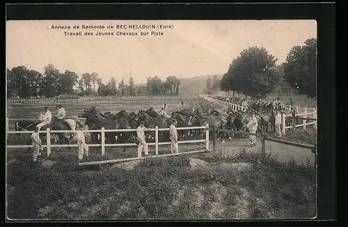 AK Bec-Hellouin, Travail des Jeunes Chevaux sur Piste