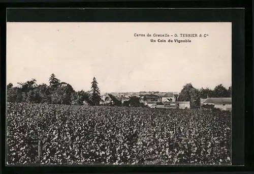 AK Saumur, Un coin du Vignoble