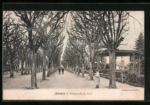 AK Cholet, Promenade du Mail