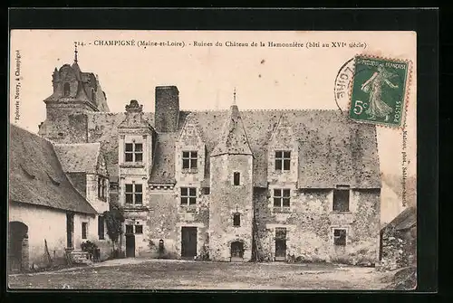 AK Champigné, Ruines du Château de la Hammonnière