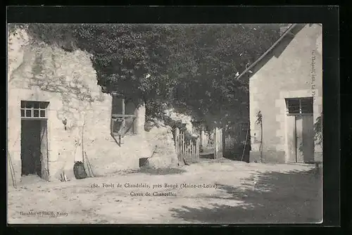 AK Baugé, Forêt de Chandelais, Caves de Chanzelles