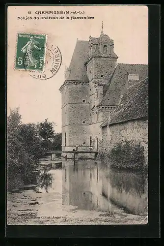 AK Champigné, Donjon du Chateau de la Hamoniére