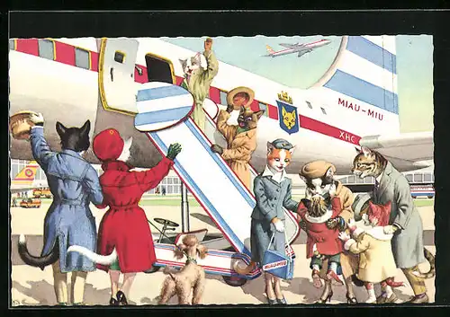 Künstler-AK Katze steigen ins Flugzeug Miau-Miu