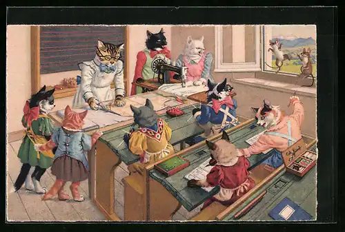 AK Katzen in der Haushaltungsschule
